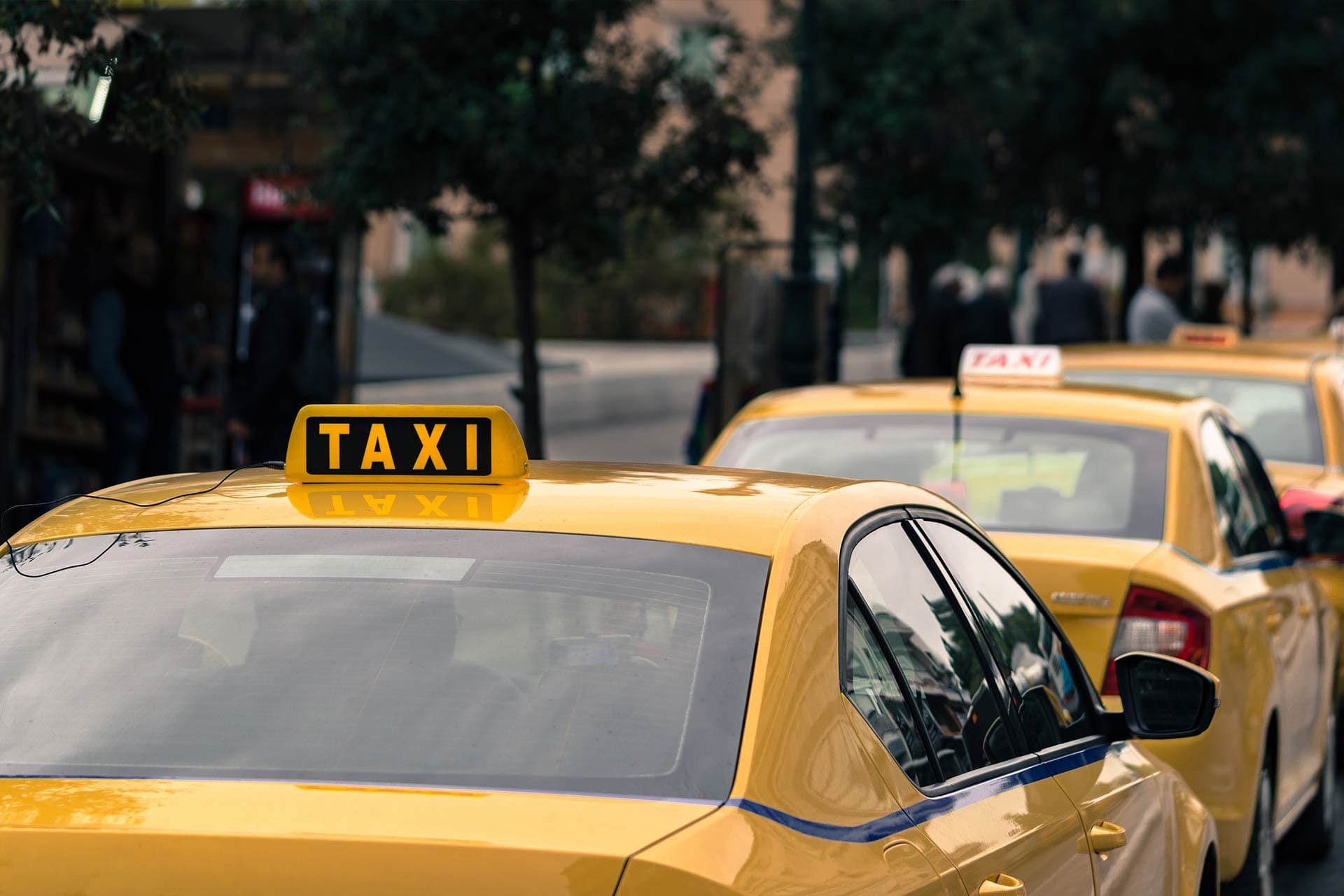Professional chauffeur service with luxury vehicle